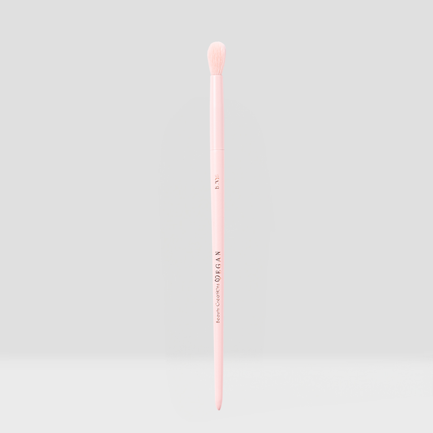 Vegan Brush Eye Bundle