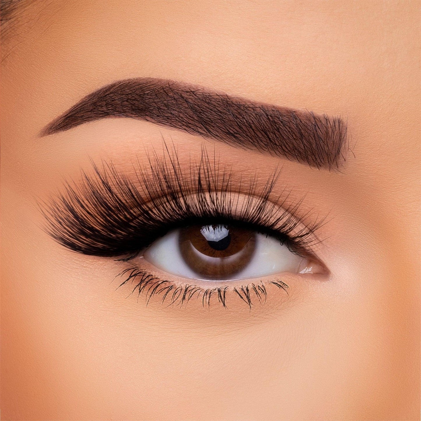 Faux-cils Silk