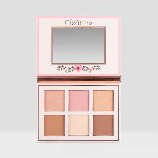 Palette visage